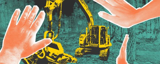 «Настало время вернуть долги природе»: как активисты «реполитизируются» через защиту своих лесов